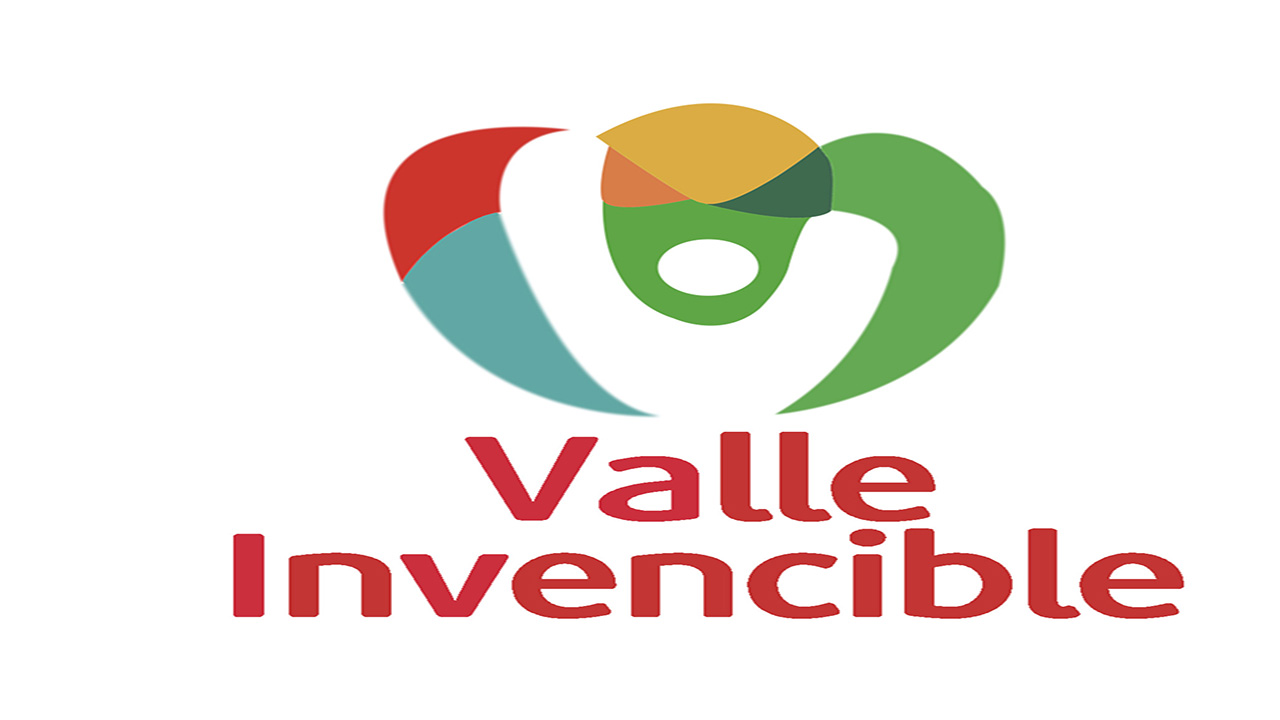 1100294-logo valle invencible.jpg